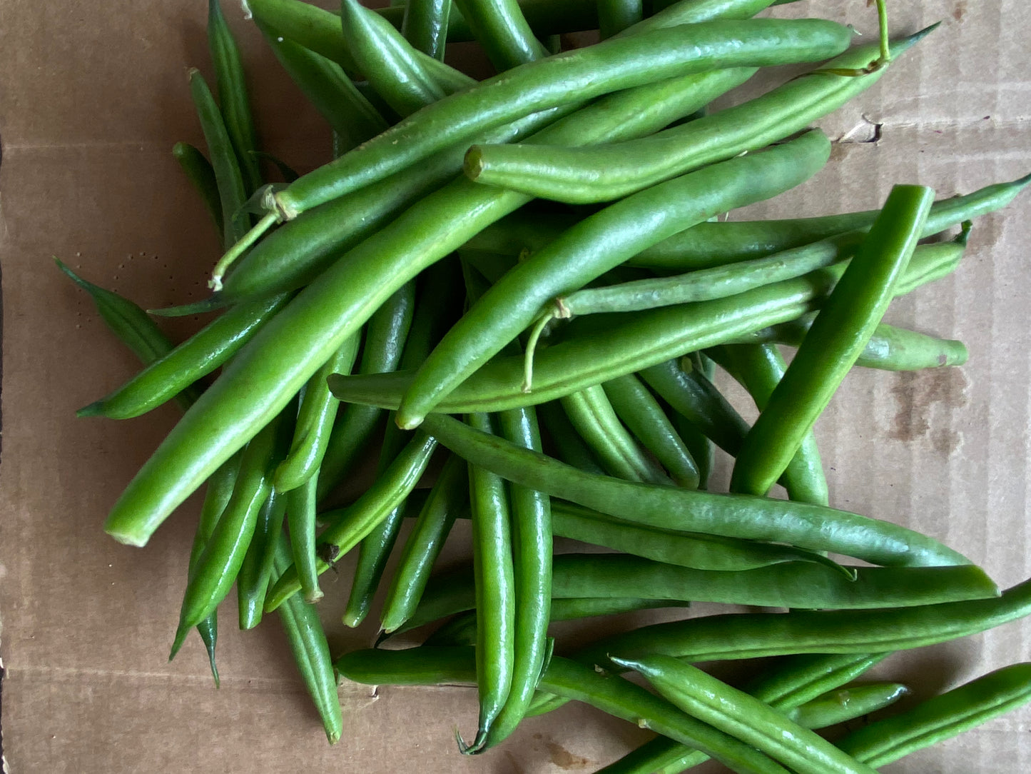 Green beans
