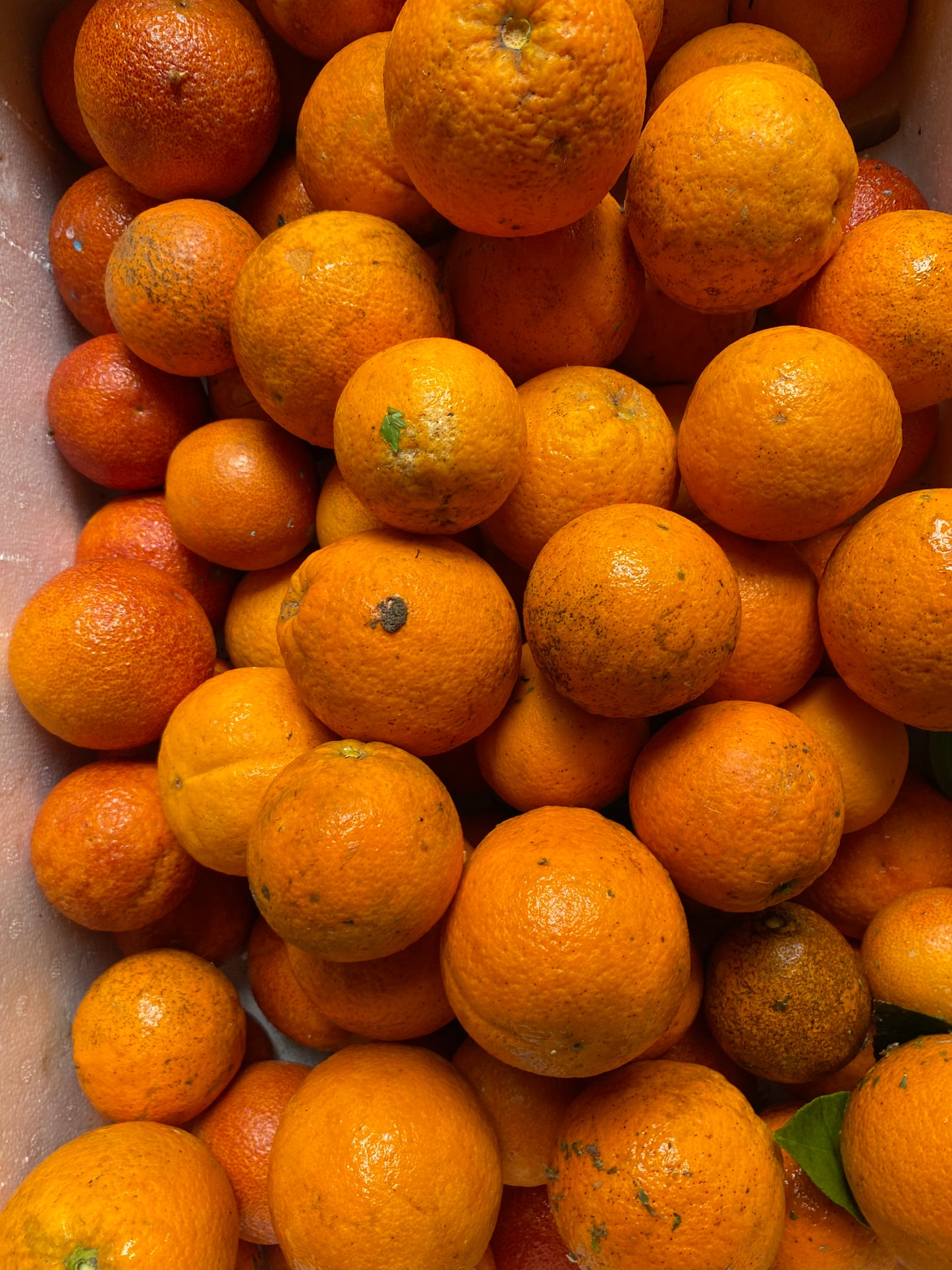 Box of oranges