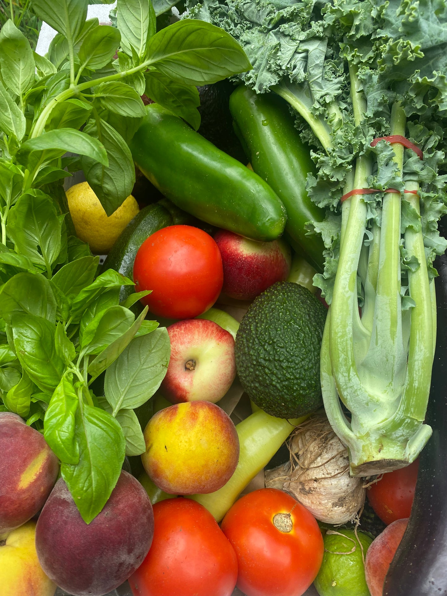 Large seasonal veggie box