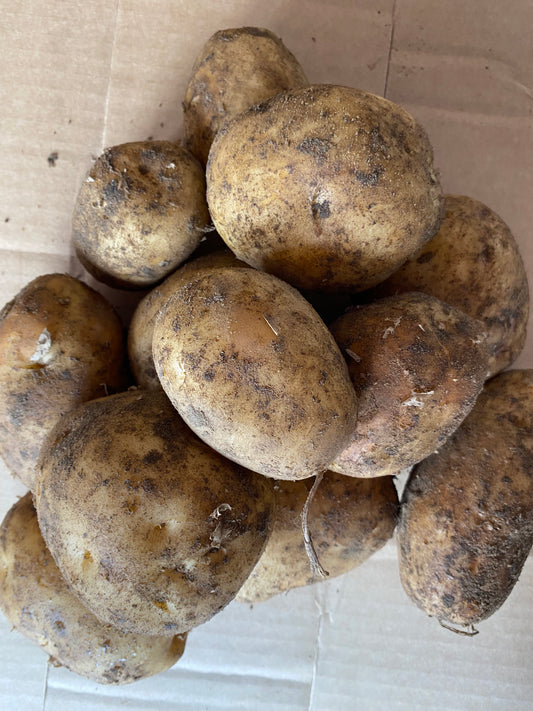 1kg bag potatoes